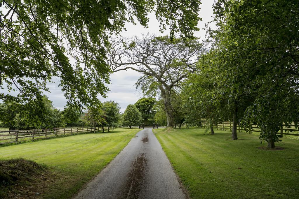 Bed and Breakfast College Hill House Slane Exteriér fotografie