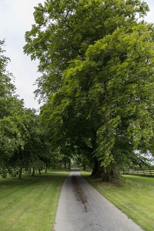 Bed and Breakfast College Hill House Slane Exteriér fotografie