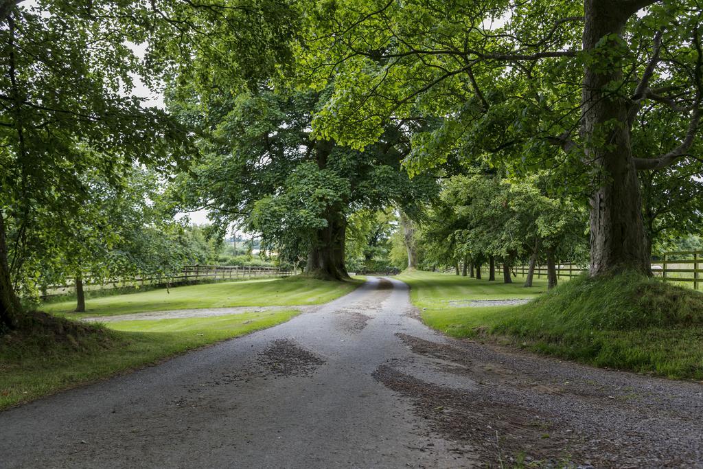 Bed and Breakfast College Hill House Slane Exteriér fotografie